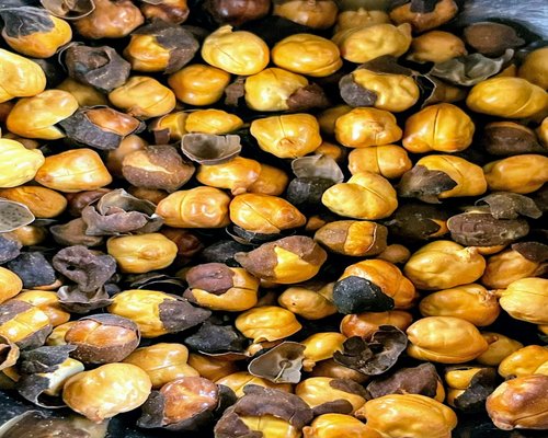 close up of a variety of colorful nuts seeds and berries rich in natural oils